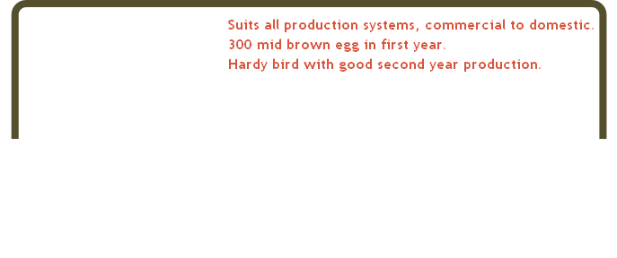  Suits all production systems, commercial to domestic.
 300 mid brown egg in first year.
 Hardy bird with good second year production.